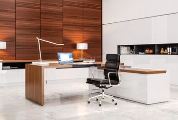 Кабинет руководителя Art.Neo